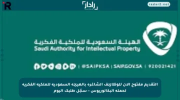 التقديم مفتوح الآن للوظائف الشاغرة بالهيئة السعودية للملكية الفكرية لحملة البكالوريوس – سجّل طلبك اليوم